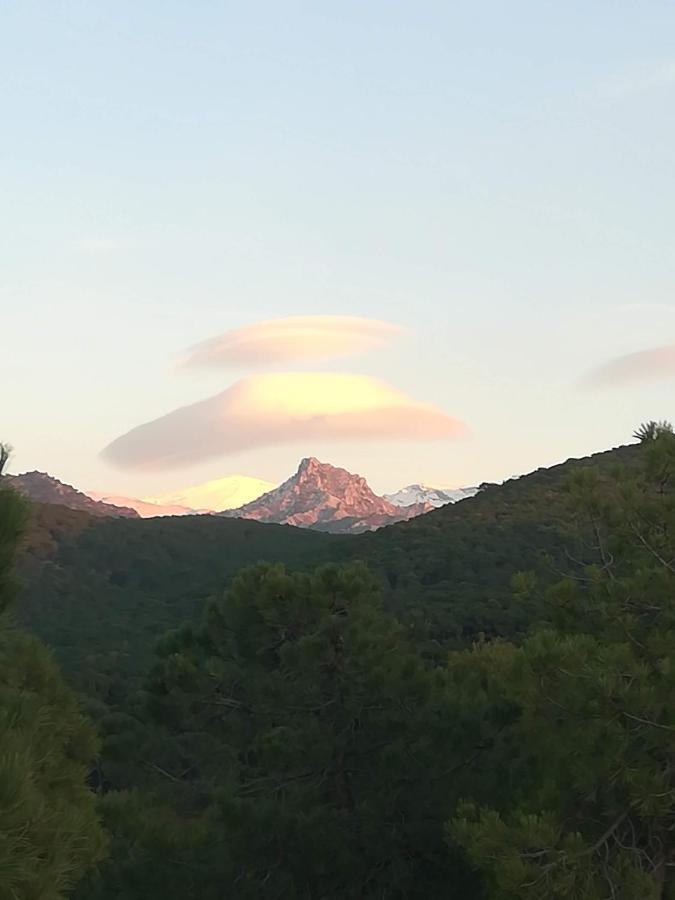 Acogedor Apartamento Privado Con Fantasticas Vistas La Zubia  Buitenkant foto
